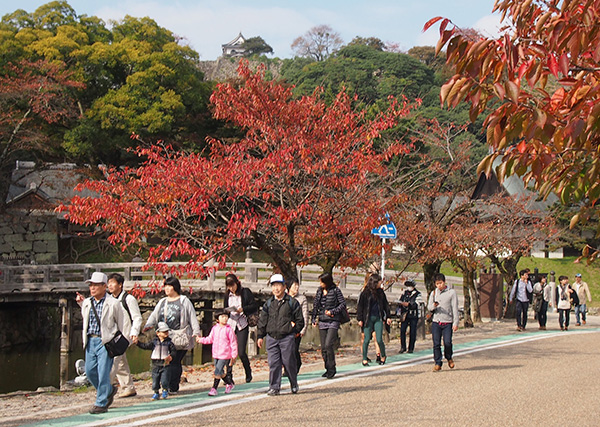 紅葉の名所 京都 滋賀の紅葉情報 京都新聞