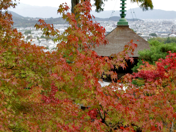 Jōjakkō-ji Temple's image 1