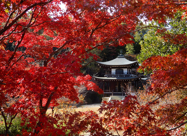 Kajū-ji Temple's image 1