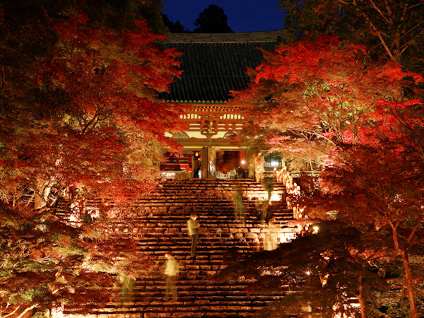 Jingoji Temple's image 1