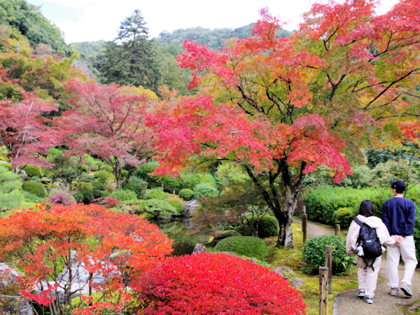 紅葉の名所 京都 滋賀の紅葉情報 京都新聞