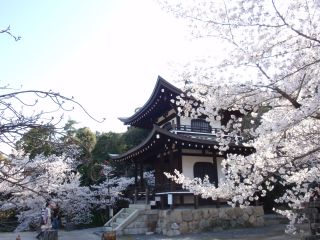 Kajuji Temple's image 1