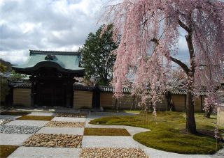 Kodaiji Temple's image 1